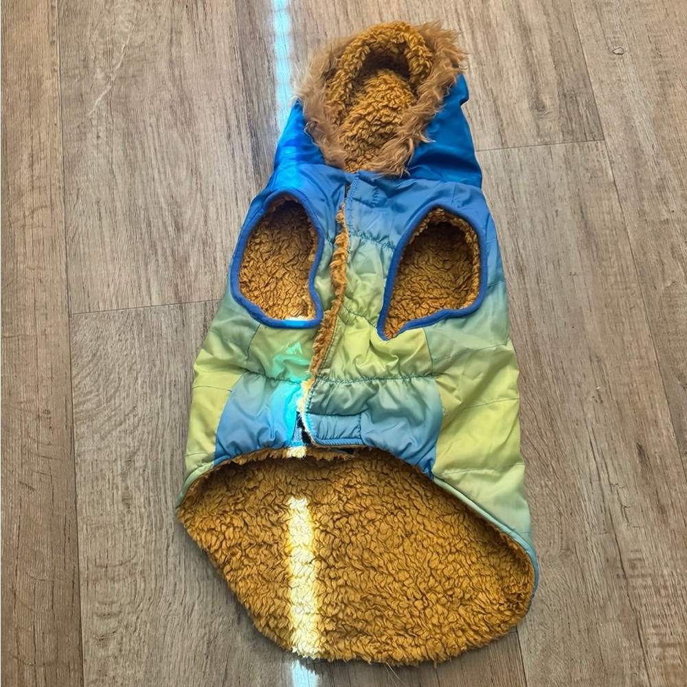 Dog Blue and Yellow Hooded Jacket